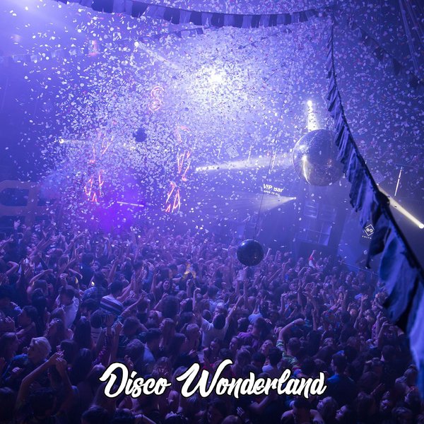 Disco Wonderland